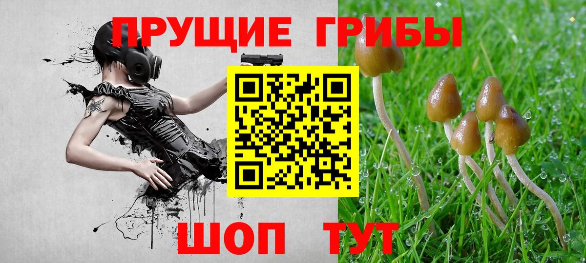 Искитим  Псилоцибиновые грибы прущие грибы  Вход с VPN 